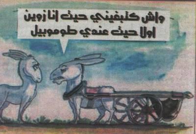 chab 7imar